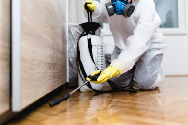 Best Local Pest Control Services  in Wood Ridge, NJ
