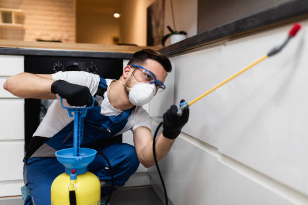  Wood Ridge, NJ Pest Control Pros