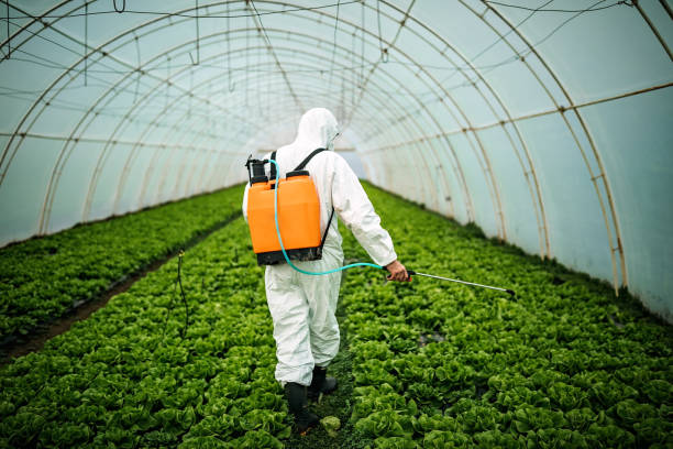 Best Pest Prevention Services  in Wood Ridge, NJ