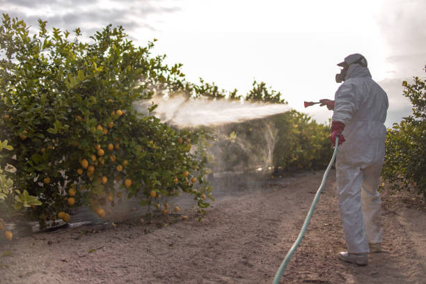 Best Best Pest Control Companies  in Wood Ridge, NJ