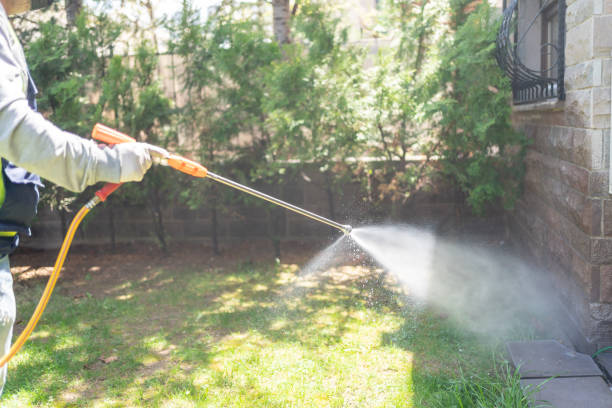 Best Affordable Pest Control Services  in Wood Ridge, NJ