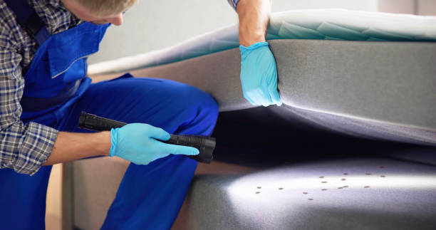 Best Wasp Removal Services  in Wood Ridge, NJ