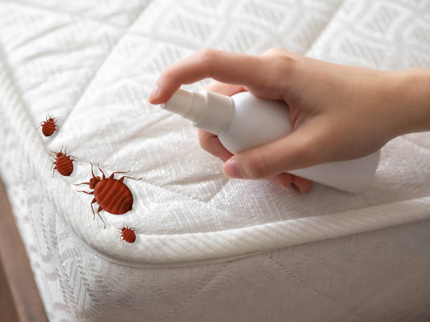 Best Bed Bug Extermination  in Wood Ridge, NJ