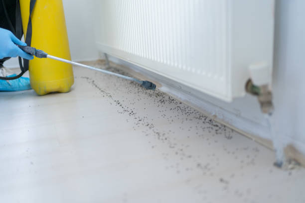 Best Pest Inspection Near Me  in Wood Ridge, NJ