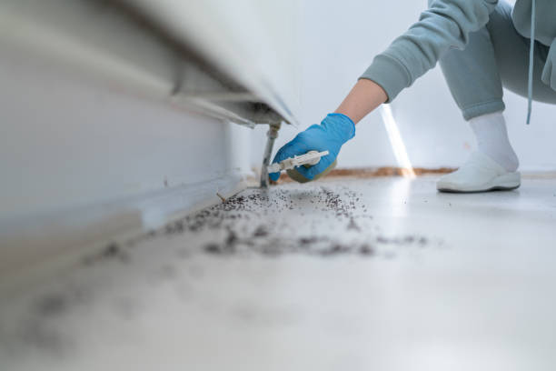 Best Best Pest Control Companies  in Wood Ridge, NJ