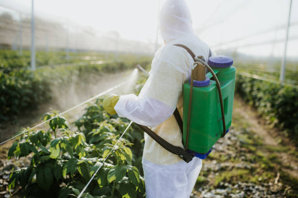 Best Wasp Removal Services  in Wood Ridge, NJ